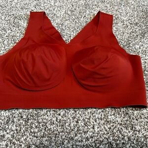 Evelyn & Bobbie medium the defy bra.